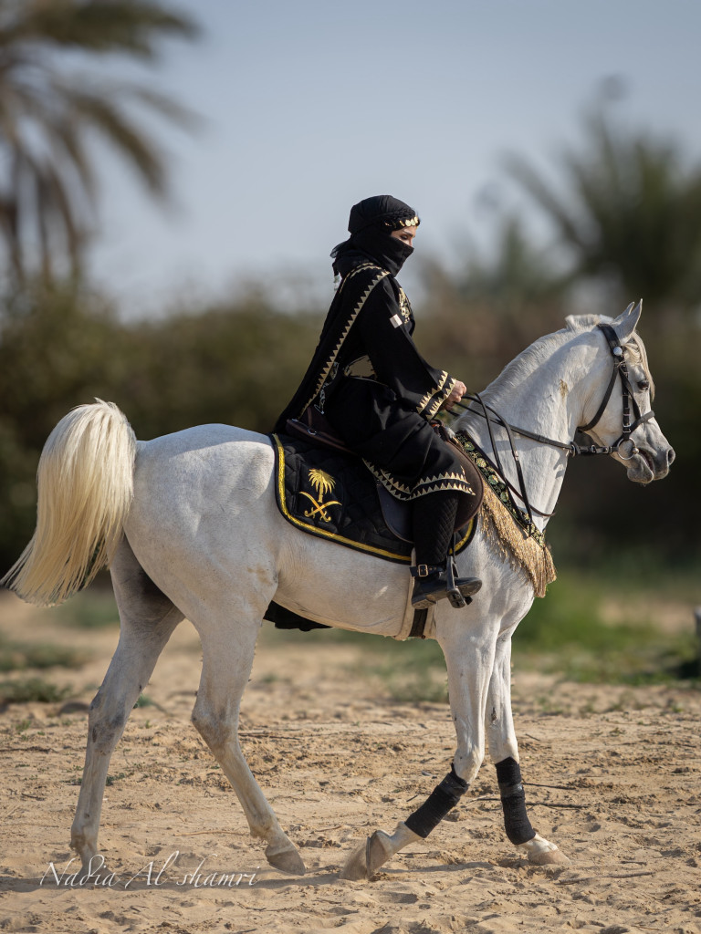ورشة تصوير الخيل