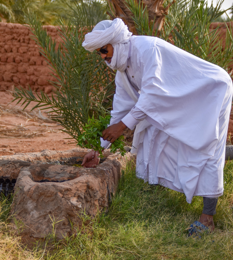 حياة الشارع