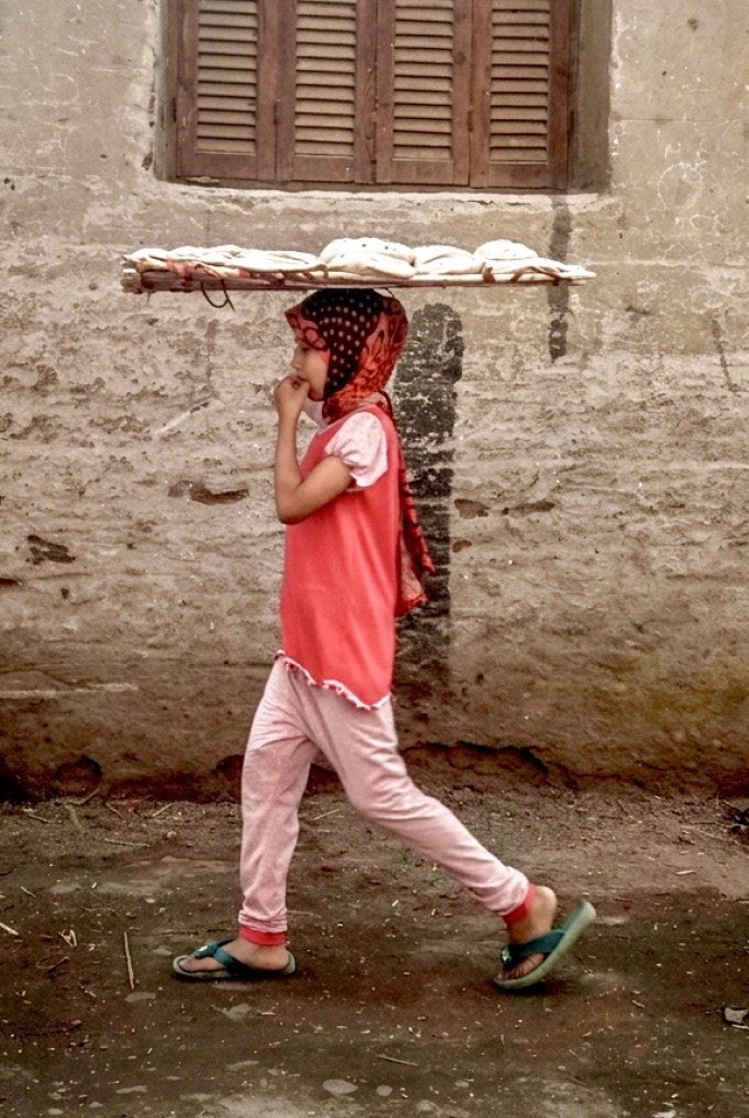 حياة الشارع