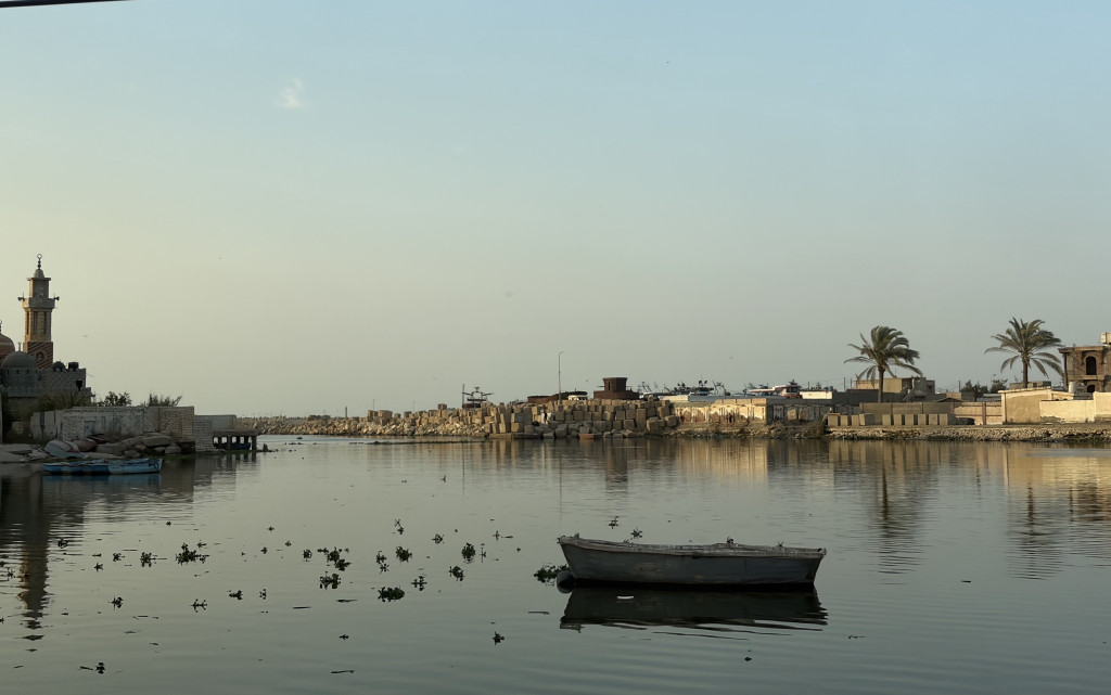 حياة الشارع