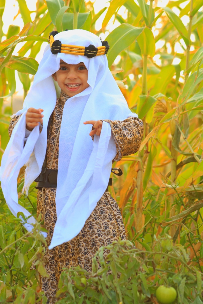 يوم الكاميرا العالمي