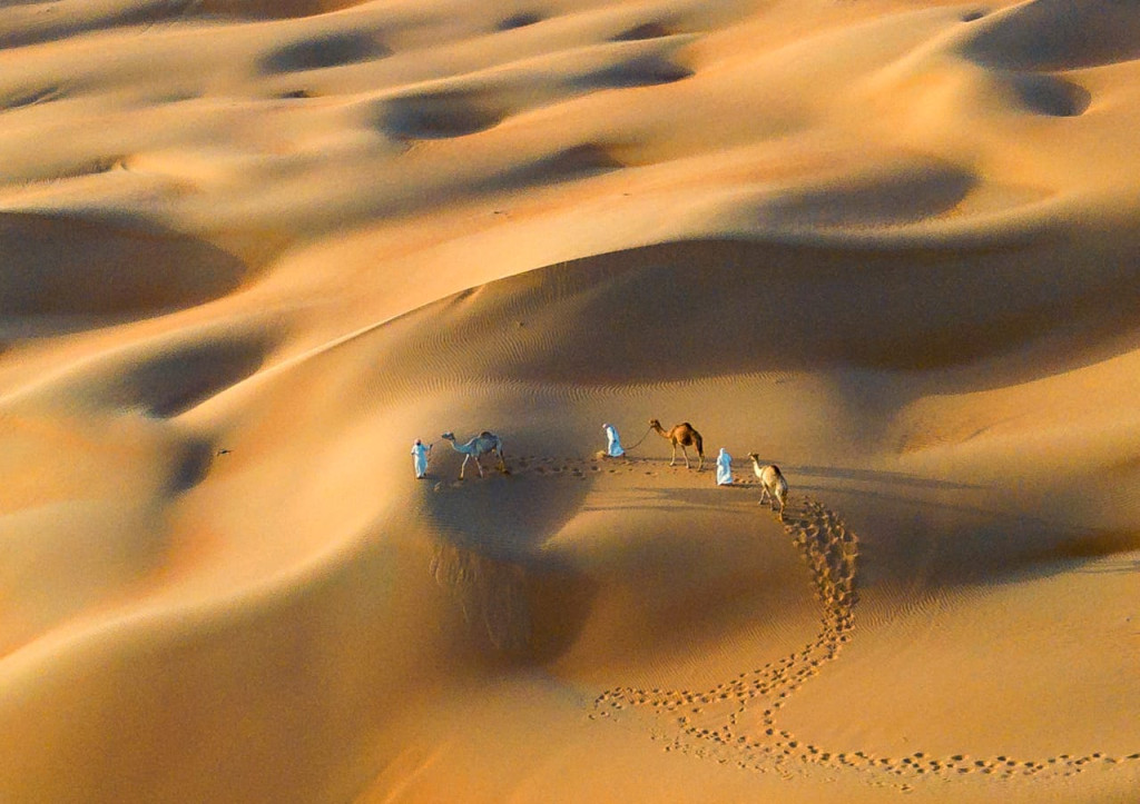 يوم الكاميرا العالمي
